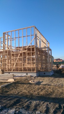 IMAG0520.jpg