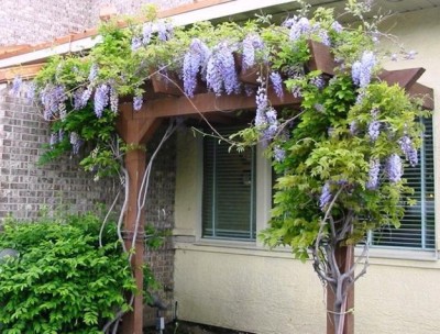 landscaping-ideas-plants-flowers-backyard-designs-12.jpg (52.88 КБ) 349 просмотров landscaping-ideas-plants-flowers-backyard-designs-12.jpg
