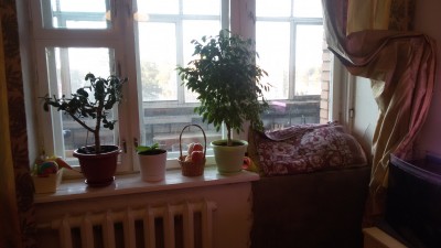 Отзывы о Нобелевских окнах.jpg