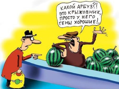 1_56.jpg
