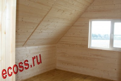 74.jpg