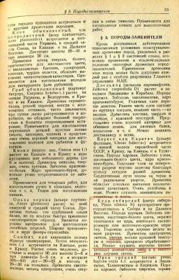 Порода заменитель КЕдр.jpg
