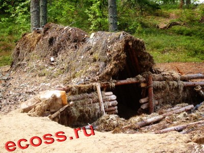 Ist10_polnuroki_t4-1.jpg