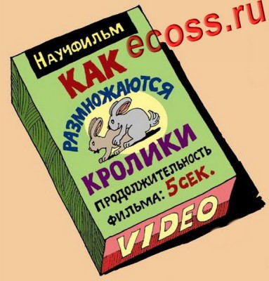 13374080415441_17.jpeg