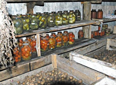 погреб своими руками.jpg