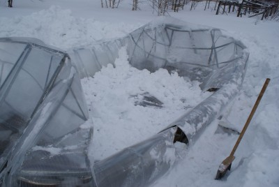 33688773-dsc00587.jpg