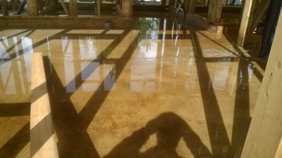 WP_20160904_001.jpg