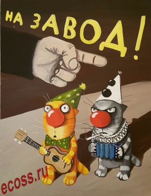 развод котиков.jpg