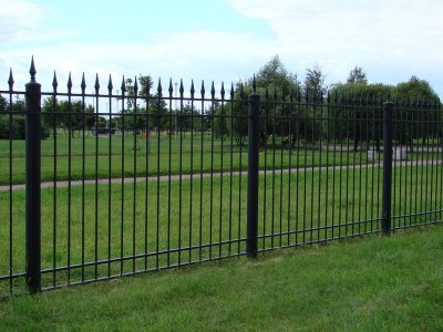 1155_800x600_d3b.jpg