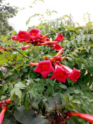 tUl4MXwbYBI.jpg