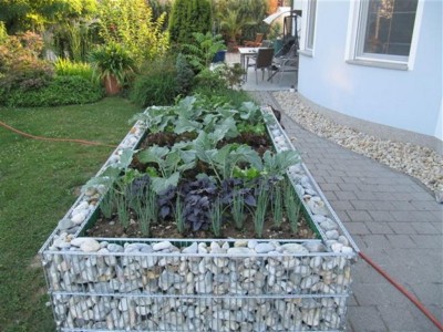 arA02Sx_Gabionen-Hochbeet-250x120cm_b3.jpg