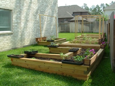 decorative_garden_5.jpg