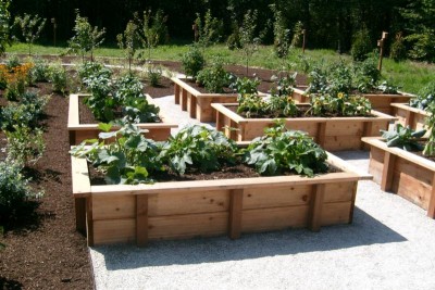 outdoor-vegetable-garden-ideas-ubeiflv4y.jpg