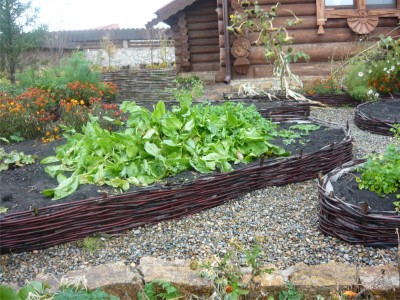 дек.огород 3000пкс.jpg