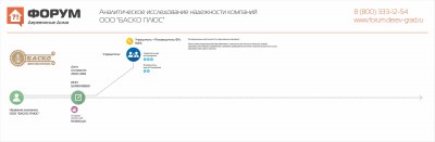 Аналитическое исследование надежности компании ООО Баско Плюс.jpg