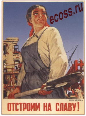 29619662.jpg