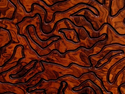 VVS_1106_resizedto_800X600.jpg