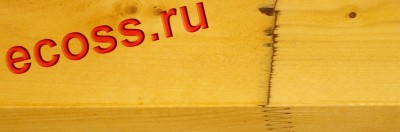Грибок клеенки.jpg