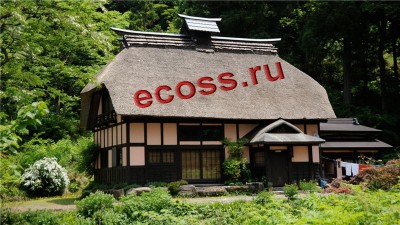 Япония Каркас Минка.jpg