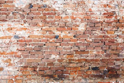 brick-wall-and-old-brick-wall-free-stock-photo-public-domain-pictures.jpg
