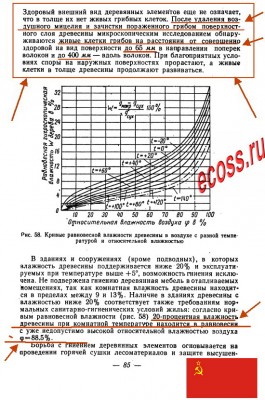 Глубина жития Грибка.jpg