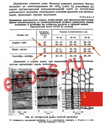 Сушкадо 20-40 дней.jpg