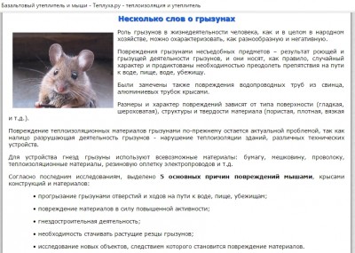 несколько слов о грызунах.jpg
