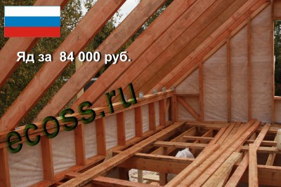 Яд в каркасах.jpg