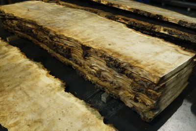 poplar_burl_lumber_3.jpg