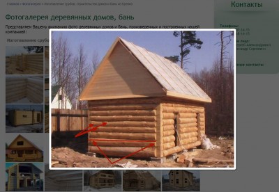 Не Северный лес-4.jpg