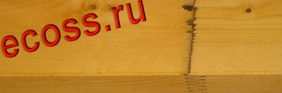 Грибок.jpg
