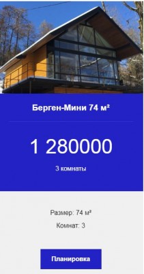 берген мини.JPG