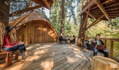 treehouse 2.JPG
