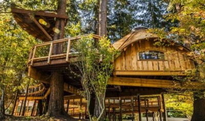 treehouse.JPG