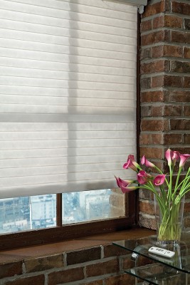 SHEER-horizontal-shades.jpg