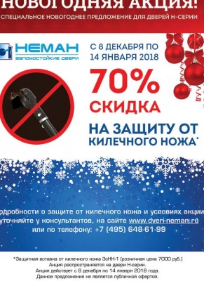 двери неман.JPG