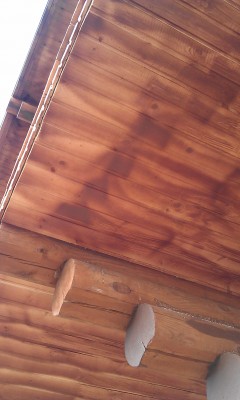 IMAG0796.jpg