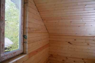 P1020571.JPG
