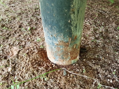 20180722_141326.jpg
