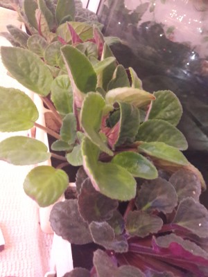 20190206_232309.jpg