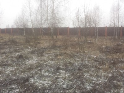 фото участка.jpg