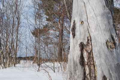 thumb_DSC_0418_1024.jpg