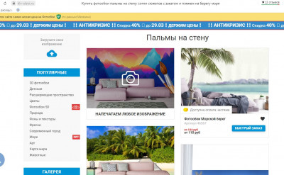 Фотообои Пальмы.JPG