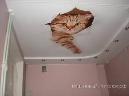 кот.jpg