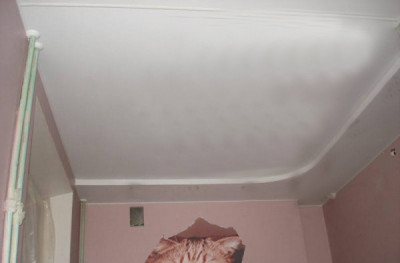 Кот на стене.jpg