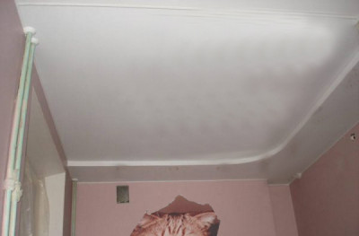 Кот на стене.jpg