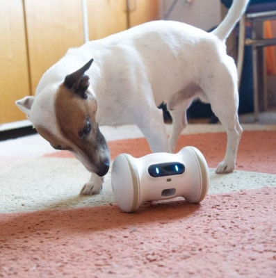 Varram Pet Fitness Robot.JPG