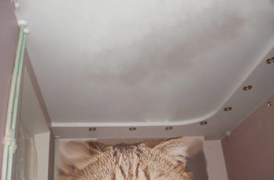 Кот на стене большой.jpg