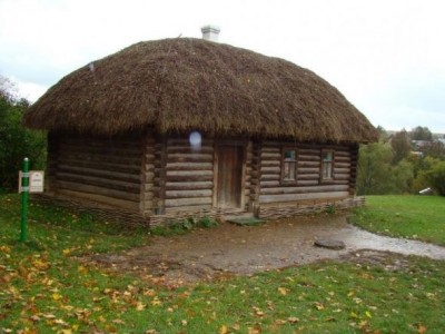 рогоз.jpg
