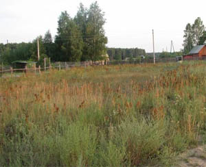 участки в шатуре.jpg